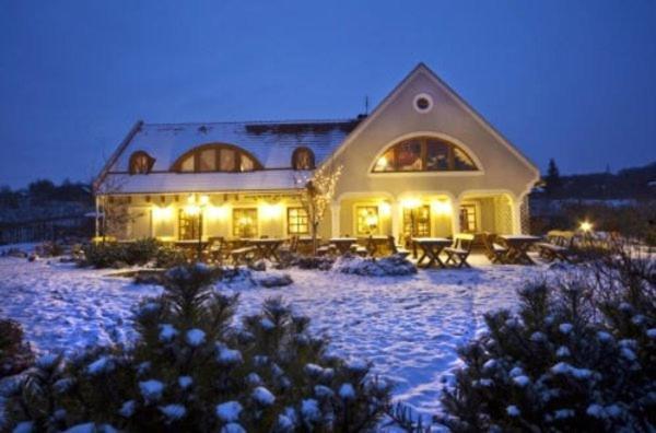 Koczor Winery & Guesthouse Balatonfured Luaran gambar