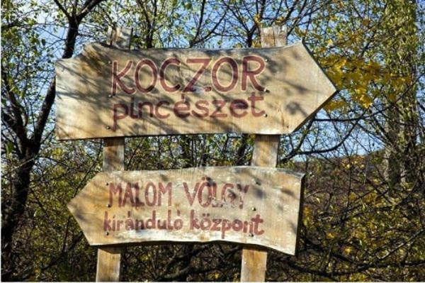 Koczor Winery & Guesthouse Balatonfured Luaran gambar