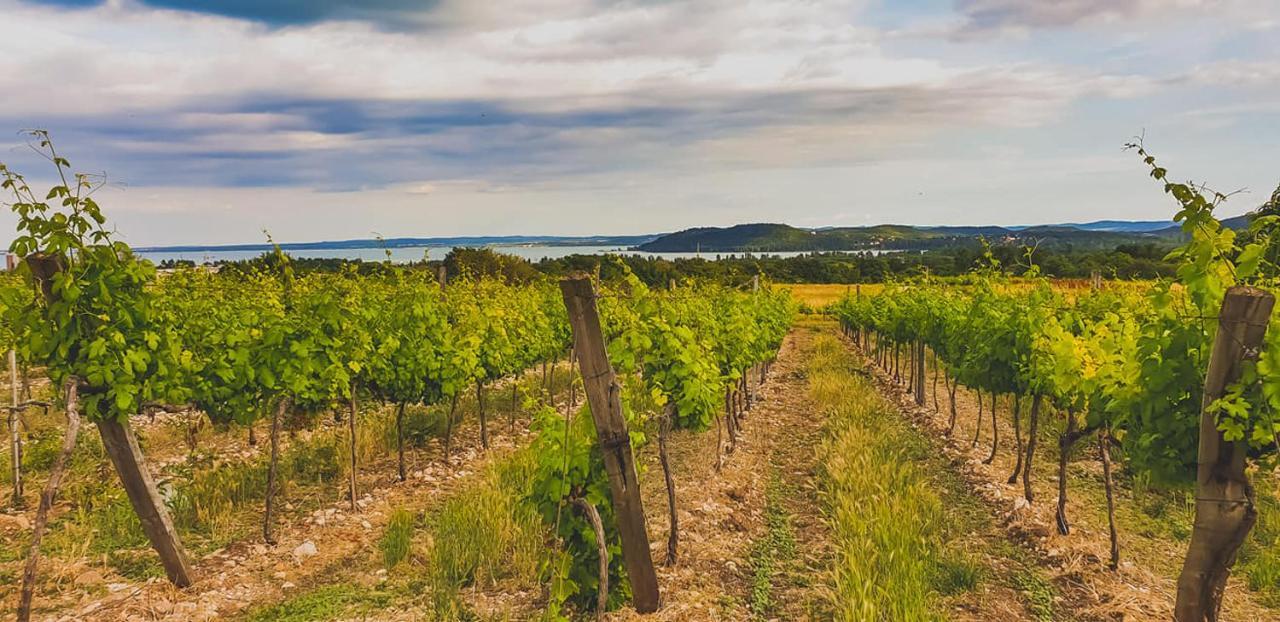 Koczor Winery & Guesthouse Balatonfured Luaran gambar