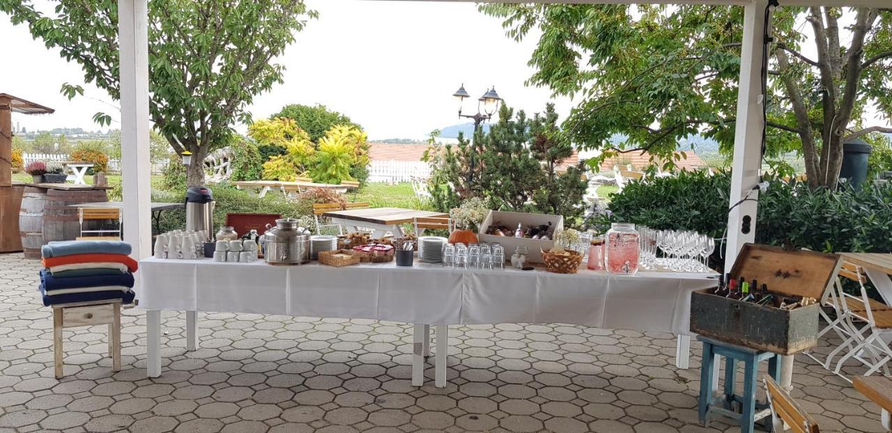 Koczor Winery & Guesthouse Balatonfured Luaran gambar