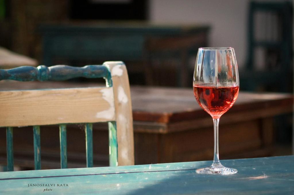 Koczor Winery & Guesthouse Balatonfured Luaran gambar