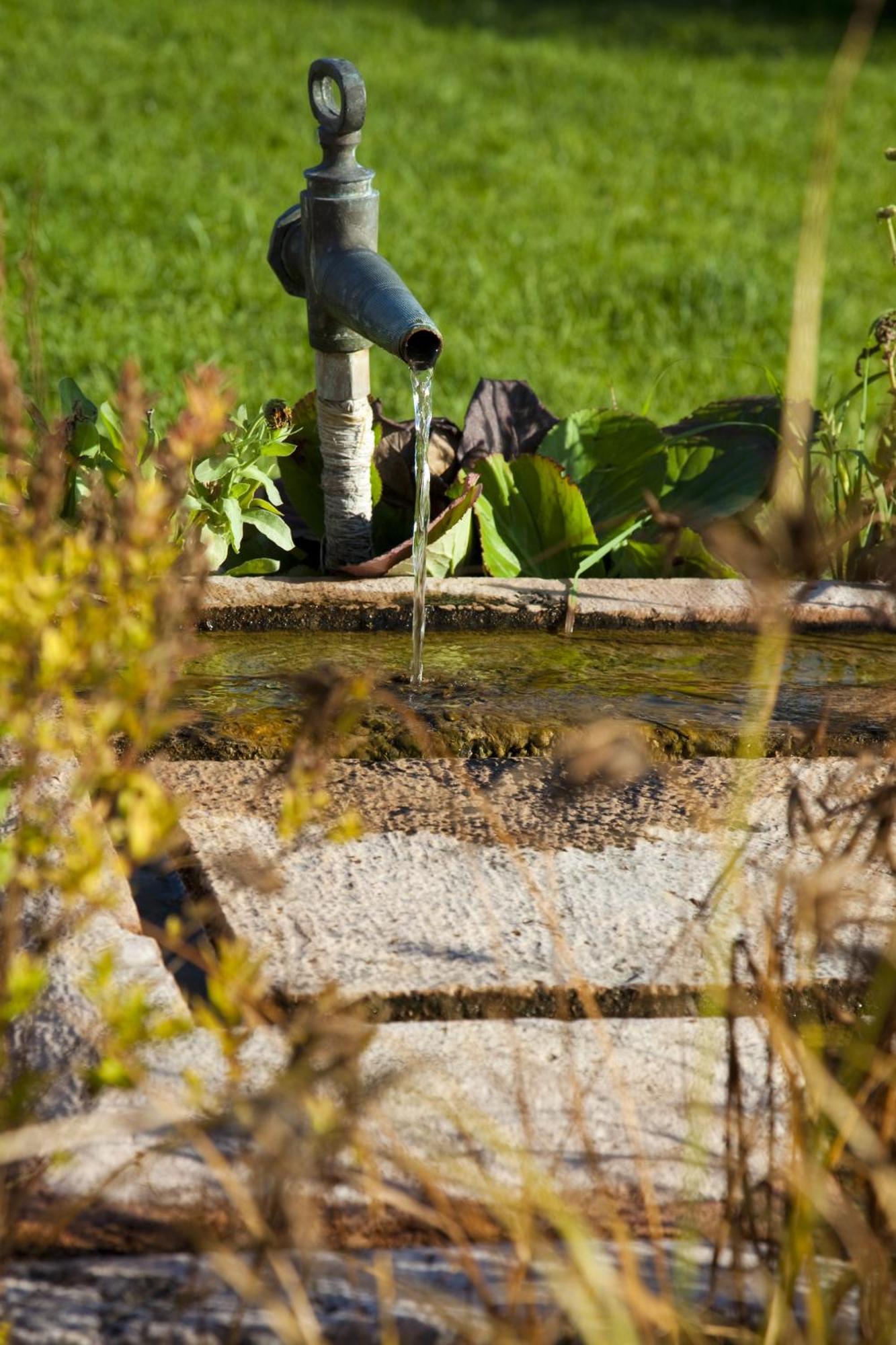 Koczor Winery & Guesthouse Balatonfured Luaran gambar