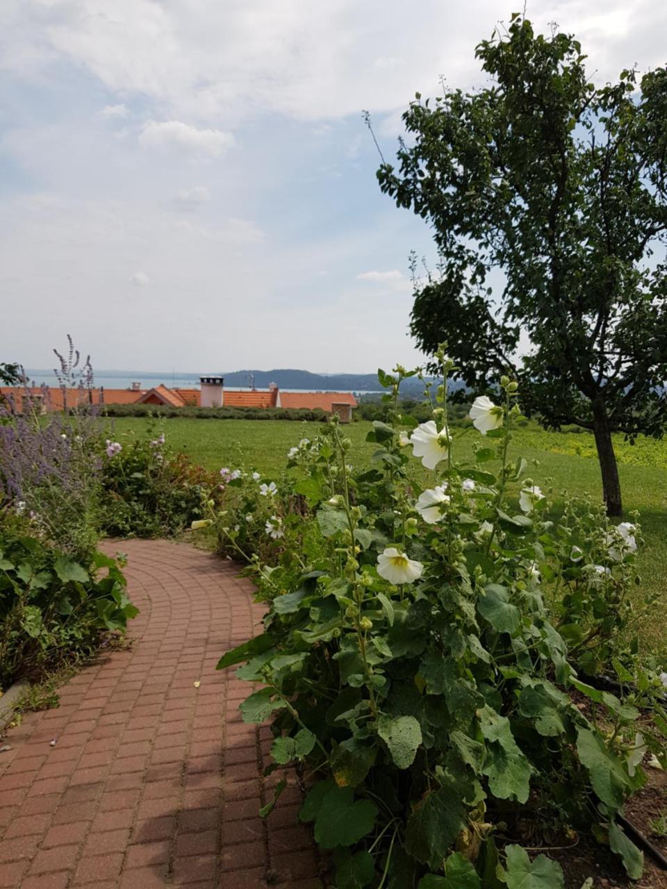 Koczor Winery & Guesthouse Balatonfured Luaran gambar