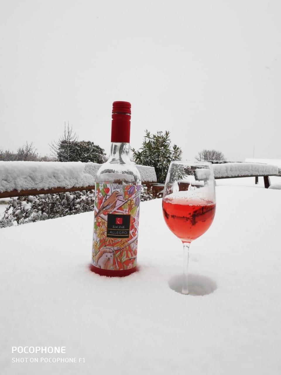 Koczor Winery & Guesthouse Balatonfured Luaran gambar