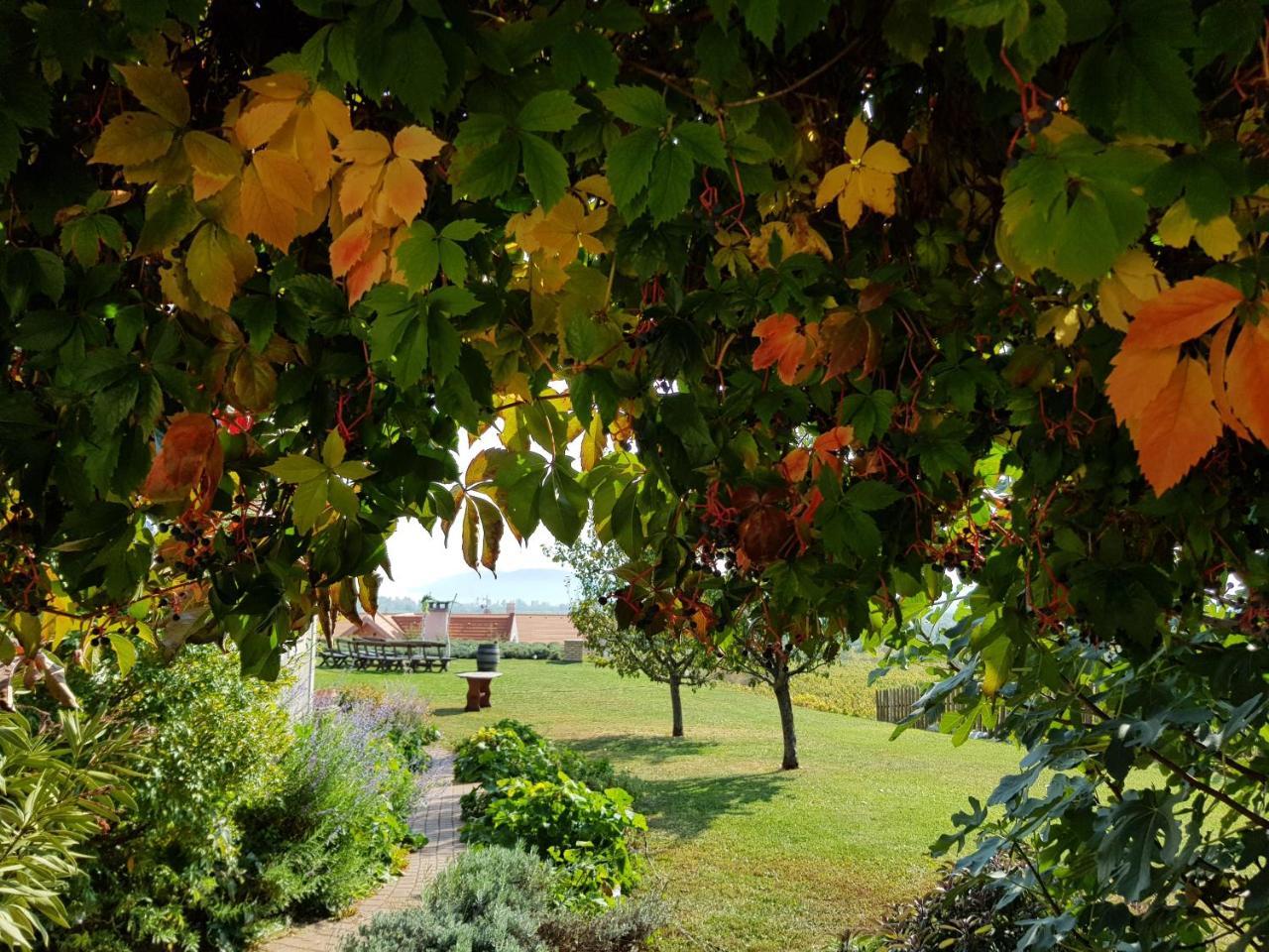 Koczor Winery & Guesthouse Balatonfured Luaran gambar