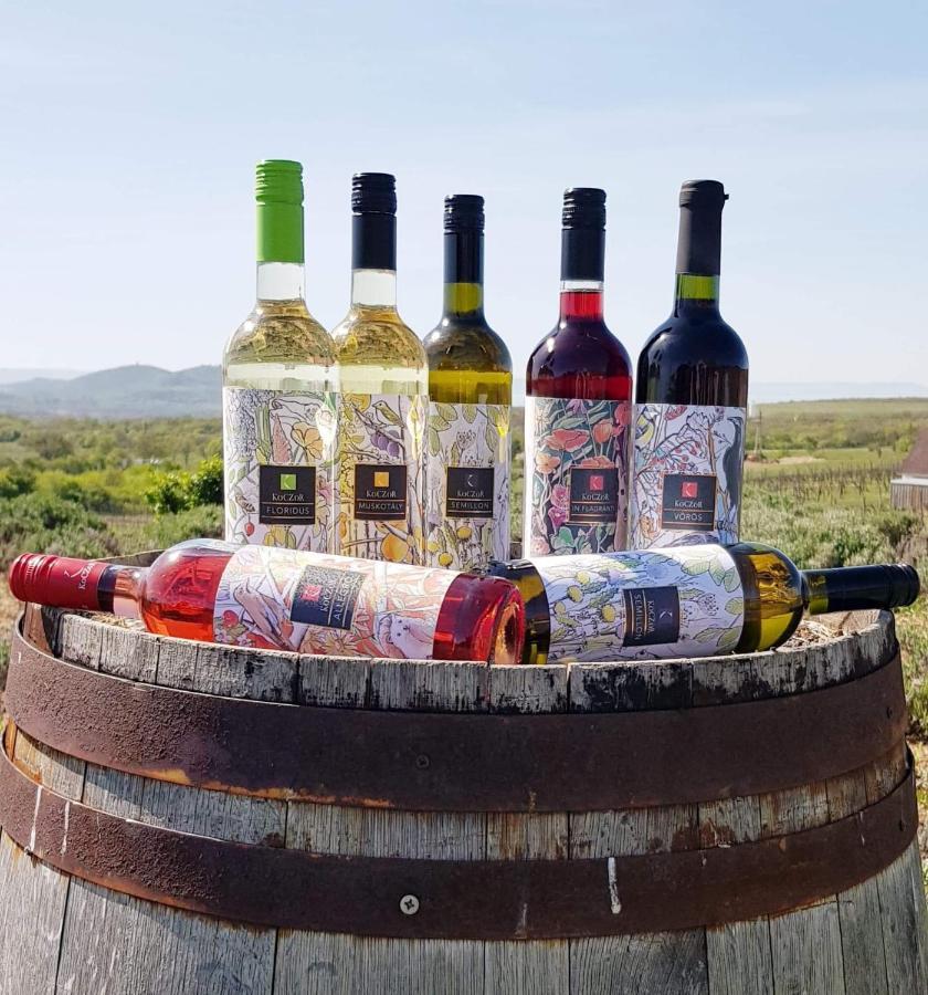 Koczor Winery & Guesthouse Balatonfured Luaran gambar
